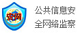 公共信息安全网络监察